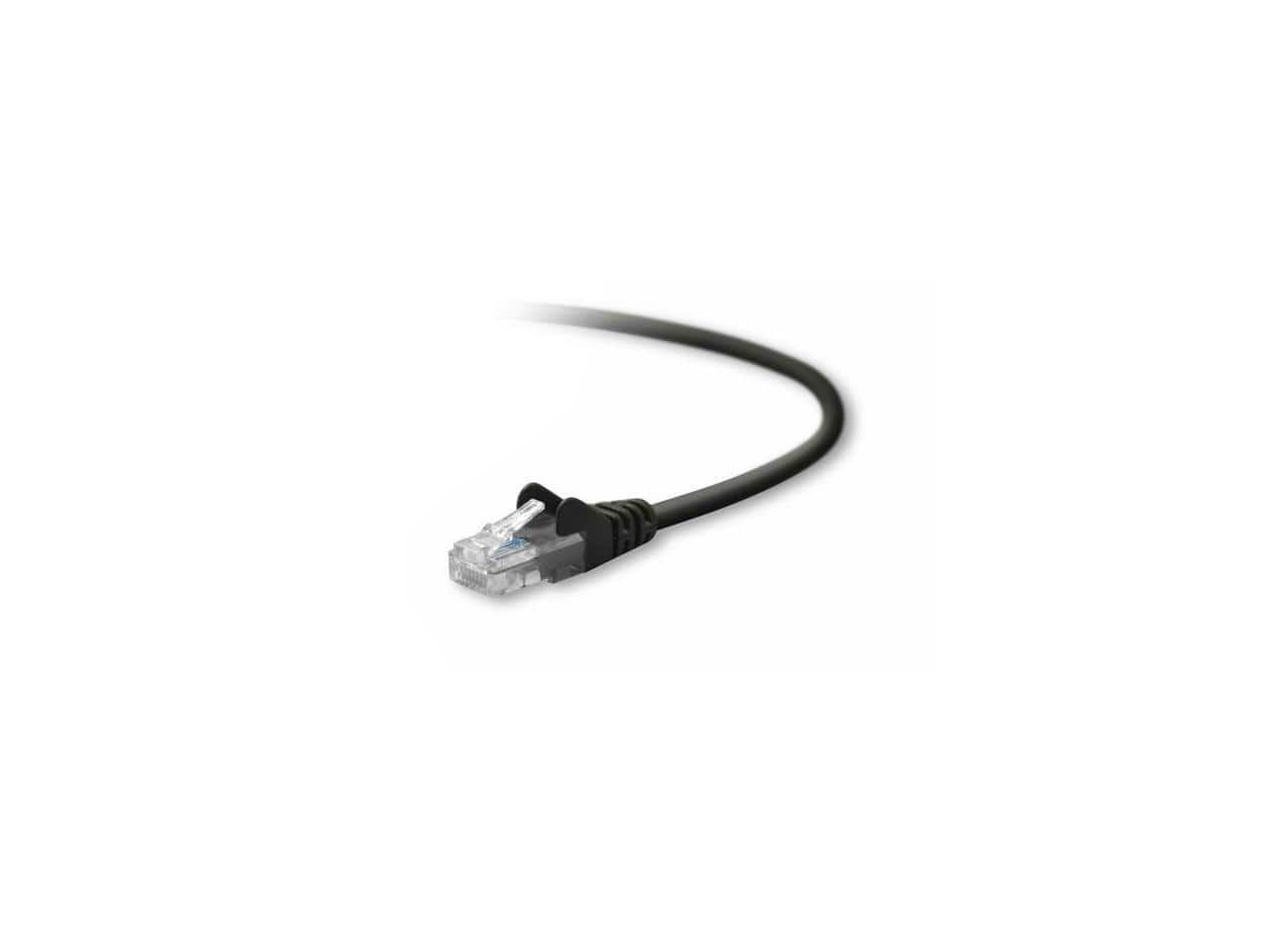 Belkin - Cat.5e UTP Patch Cable price history on PriceWatchPro