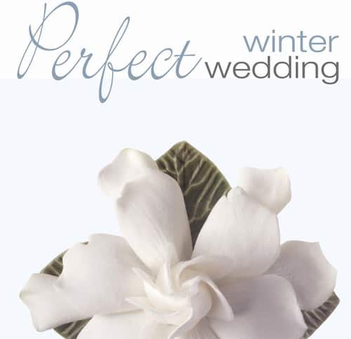 Various Artists - Perfect Wedding: Winter / Various   - COMPACT DISCS [CD] price history on PriceWatchPro