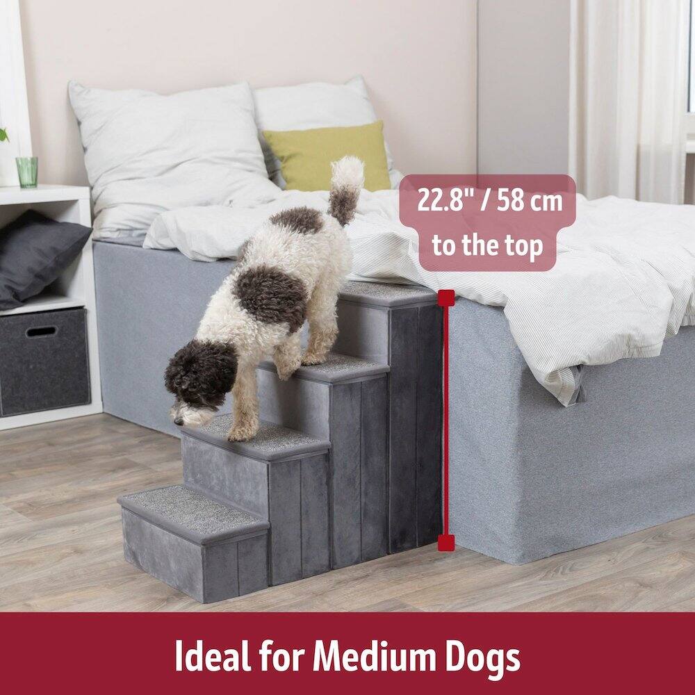 22.8" / 58 cm to the top  
Ideal for Medium Dogs