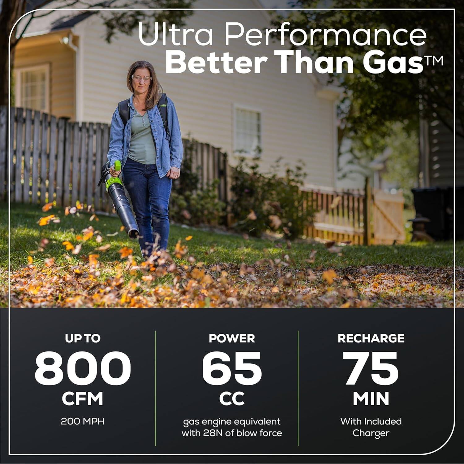 Ultra Performance Better Than Gas™

- UP TO 800 CFM
  - 200 MPH

- POWER 65 CC
  - gas engine equivalent with 28N of blow force

- RECHARGE 75 MIN
  - With Included Charger
