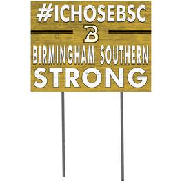 Jardine - Birmingham-Southern Panthers 18'' x 24'' I Chose Lawn Sign - Black