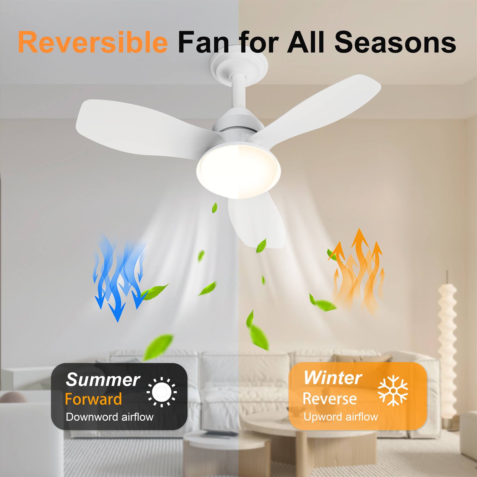 Reversible Fan for All Seasons

Summer Forward
Downward airflow

Winter Reverse
Upward airflow