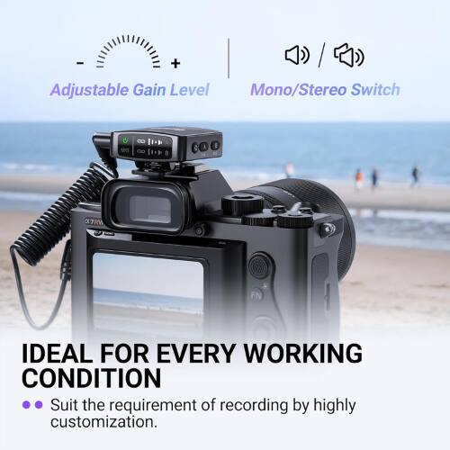 Adjustable Gain Level Mono/Stereo Switch

IDEAL FOR EVERY WORKING CONDITION

- Suit the requirement of recording by highly customization.