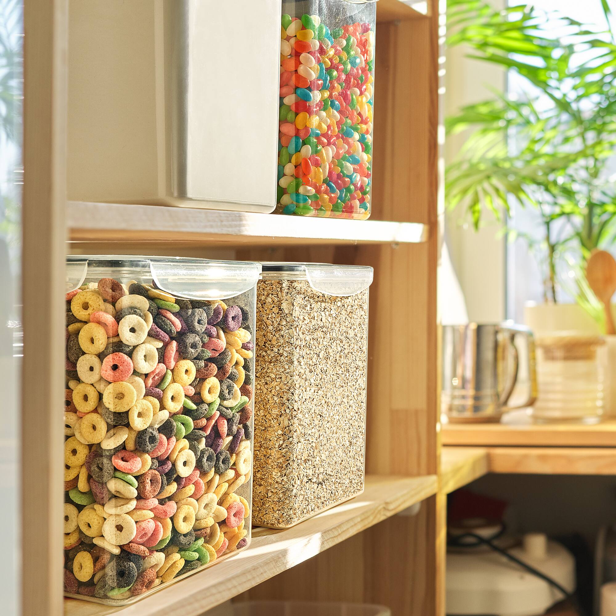 Angle. Sorbus - Sorbus 2 Pack Airtight (5qt/170oz) Food Storage Containers with Lids, Labels & Marker -Store Baking Supplies - Clear.