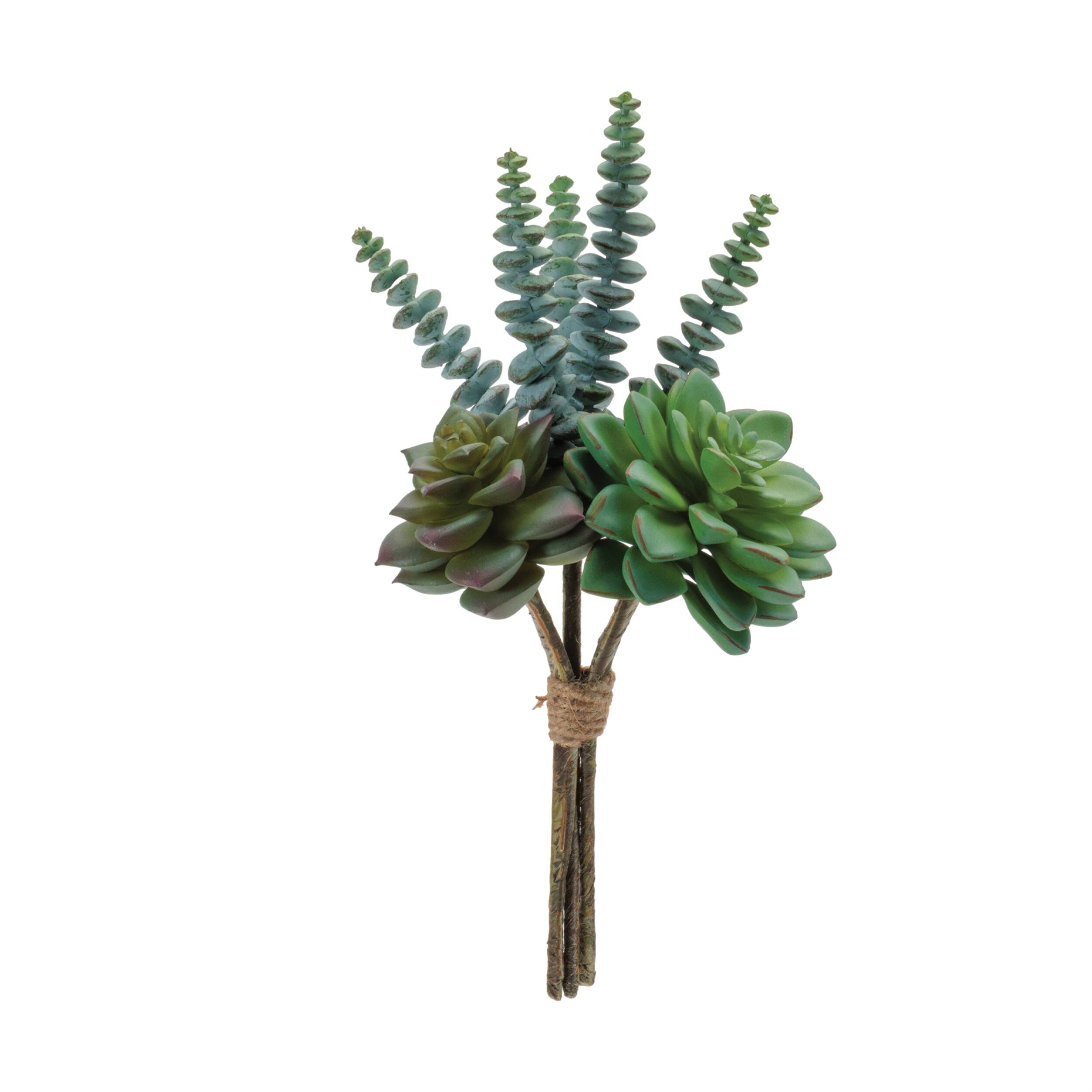 Left. BreeBe - Succulent Bundle (Set of 6) - Green.