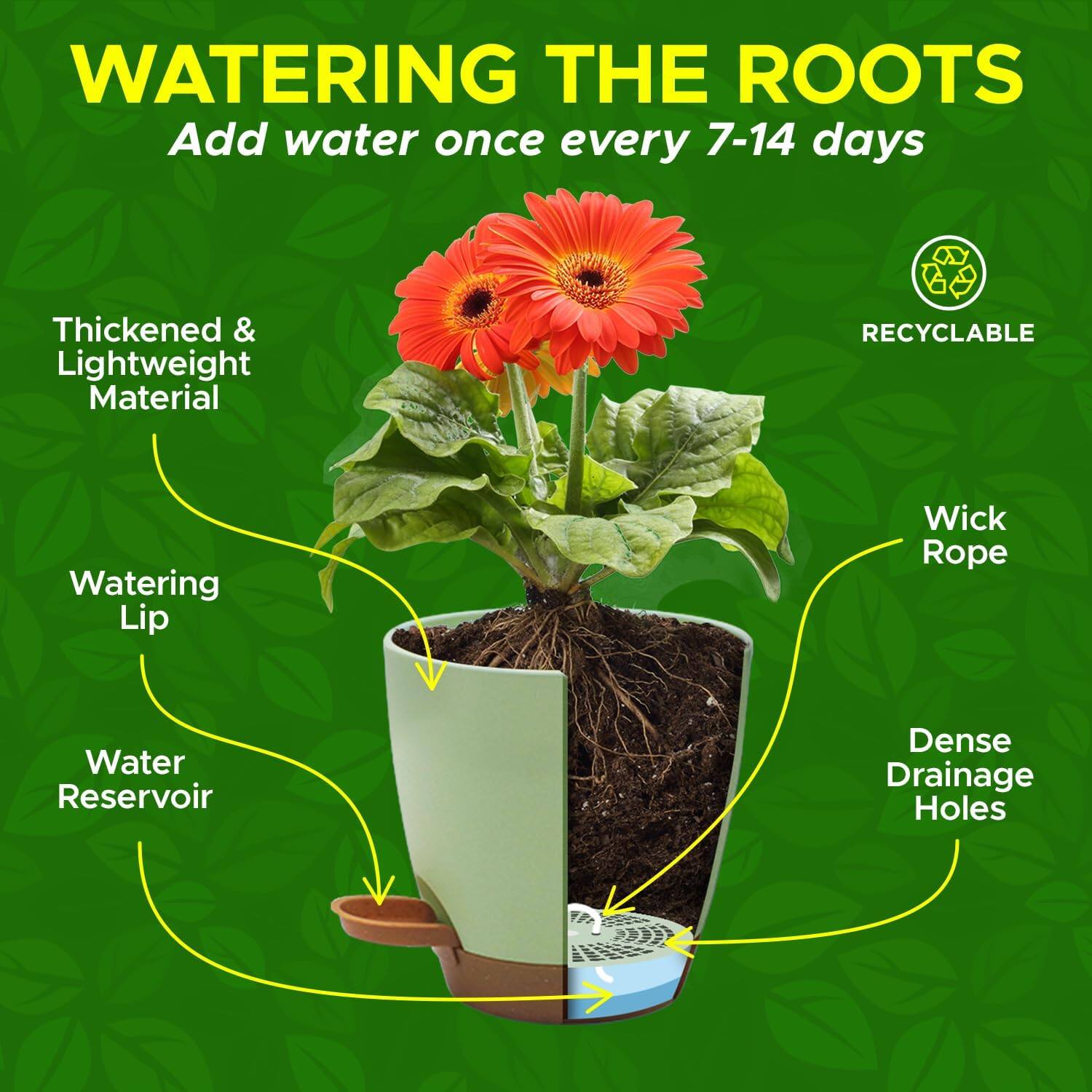WATERING THE ROOTS
Add water once every 7-14 days

- Thickened & Lightweight Material
- Watering Lip
- Wick Rope
- Water Reservoir
- Dense Drainage Holes
- Recyclable