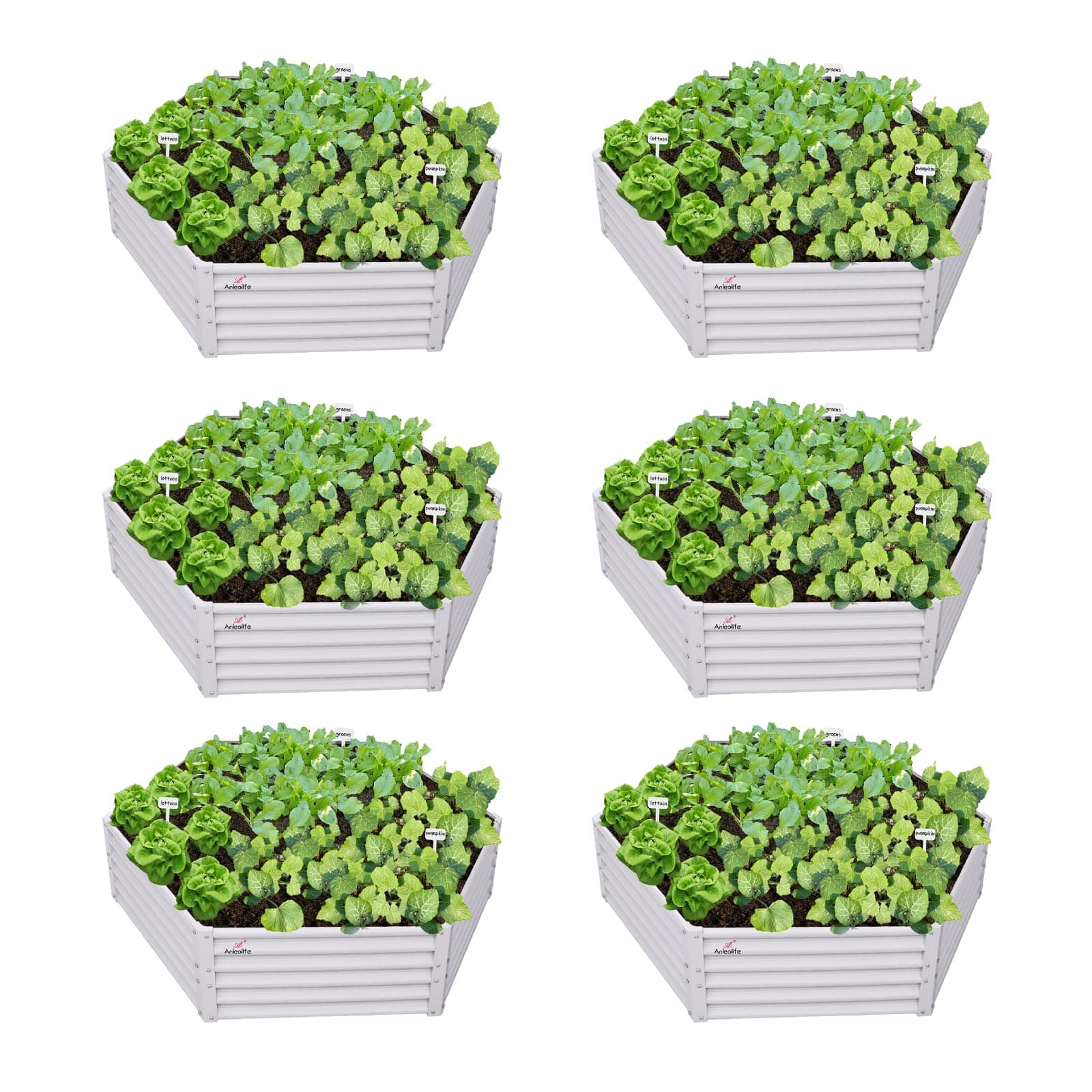 A Anleolife - 6-Pack Metal Hexagon Raised Garden Bed Planter Box for Vegetables Flowers (70 in. L x 60 in. W x 18 in. H) - White price history on PriceWatchPro