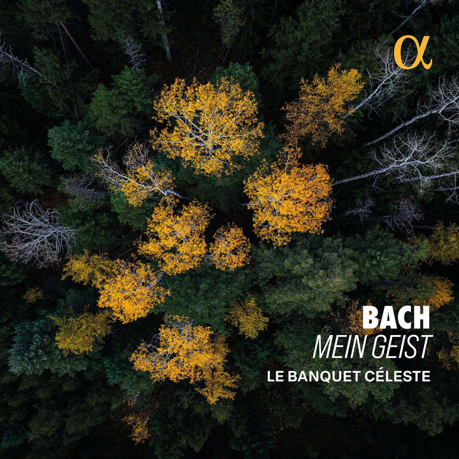 Le Banquet Celeste - Bach: Mein Geist   - COMPACT DISCS [CD] price history on PriceWatchPro