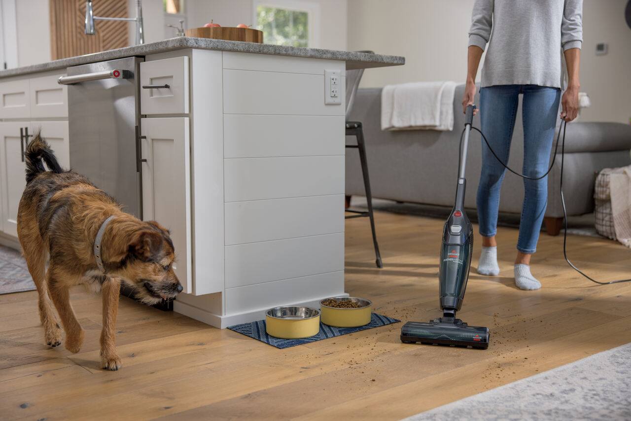 Back. BISSELL - BISSELL Featherweight PowerBrush Vacuum - Grey.