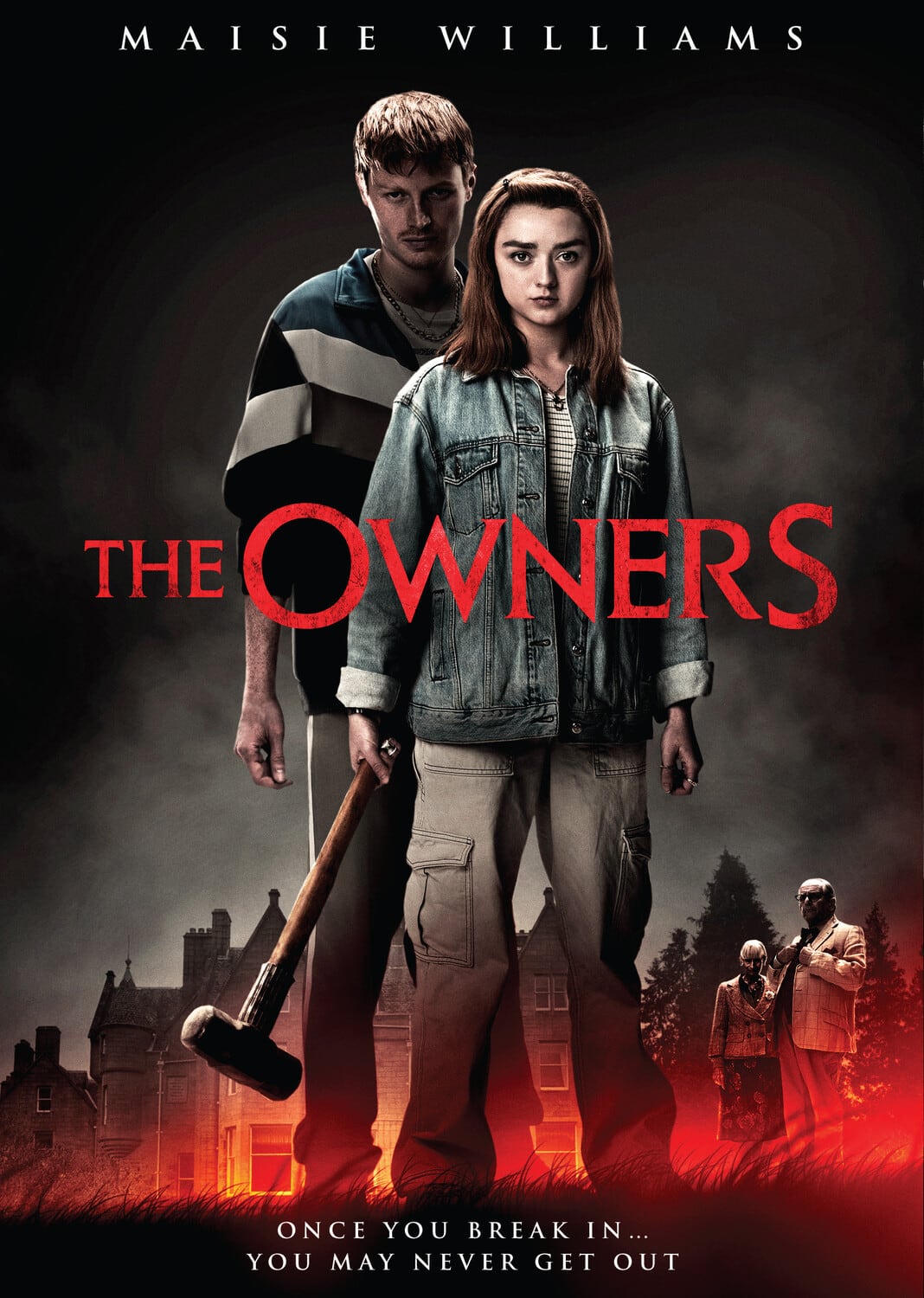 The Owners  - DVD