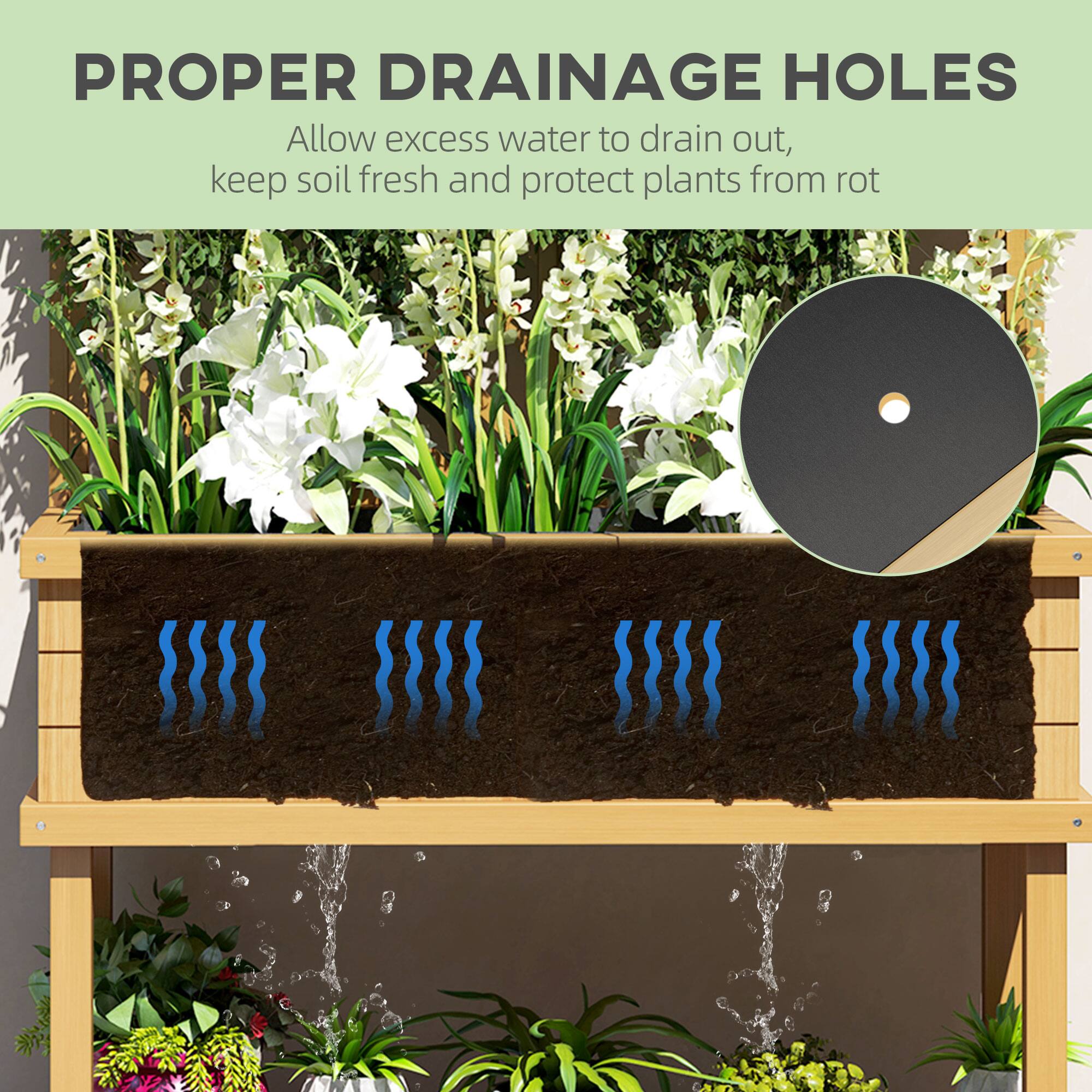PROPER DRAINAGE HOLES

Allow excess water to drain out, keep soil fresh and protect plants from rot