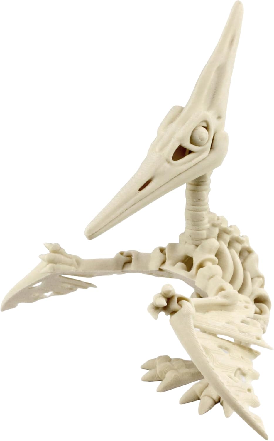 Back. JuzToys - 3D Printed Skeleton Pteranodon, Prehistoric Collectible Articulating Dinosaur Figurine Desk Decoration White by PowerTRC - White.