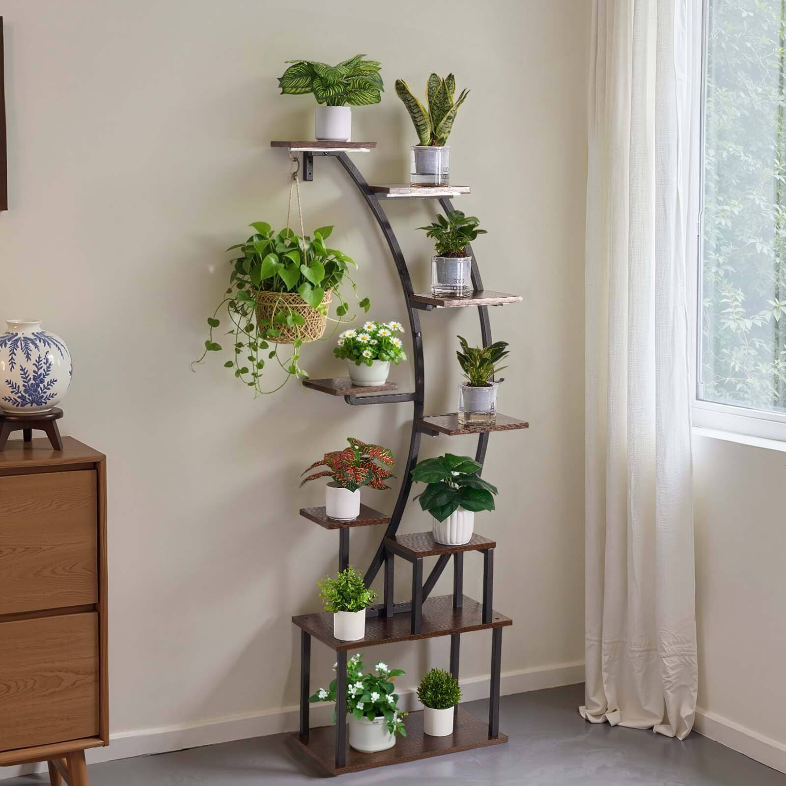 anthurium andreanum mix Anthurium andreanum | Plants