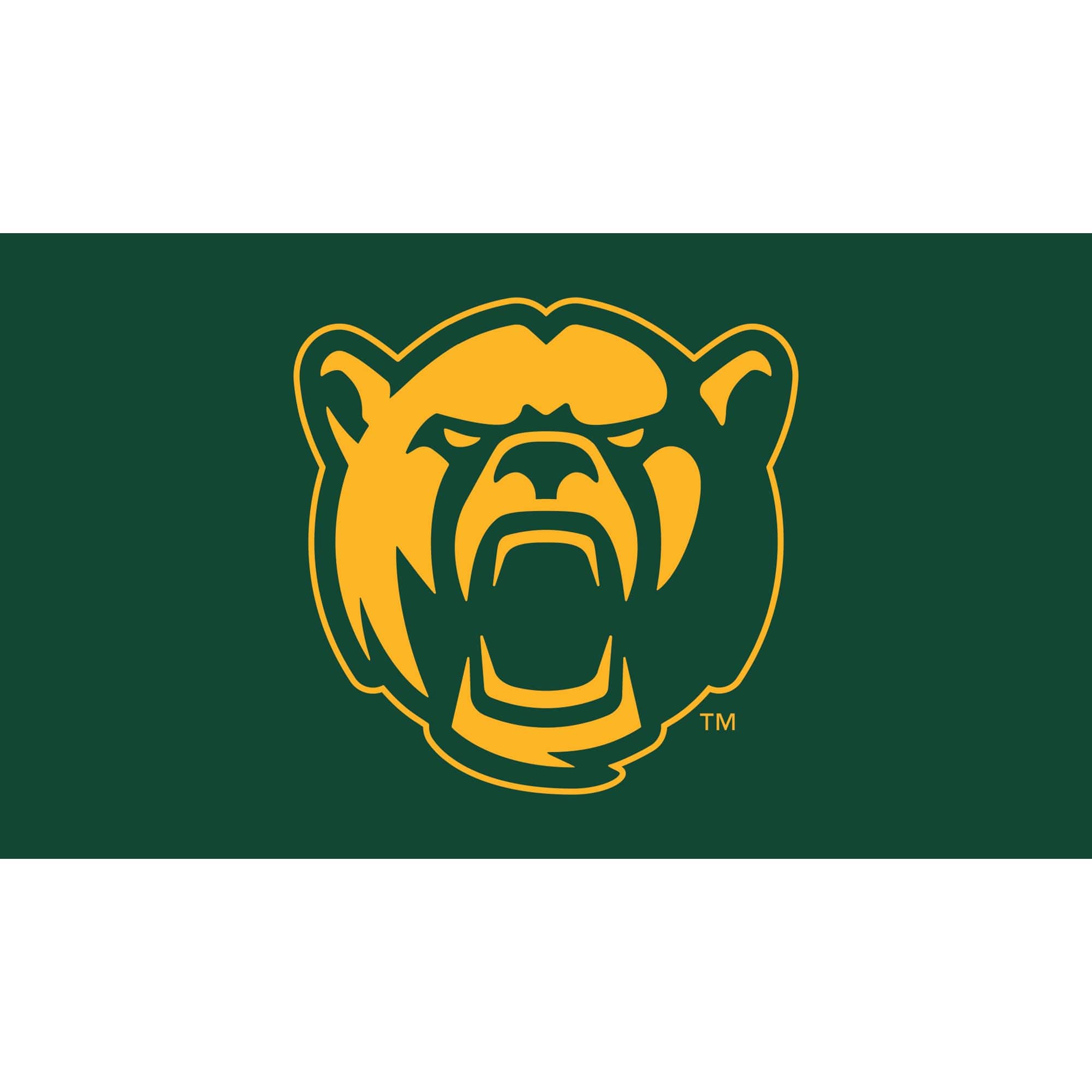 Evergreen Enterprises - Baylor Bears 28" x 16" Turf Mat - Multicolor