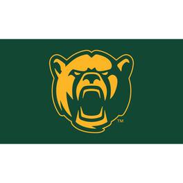 Evergreen Enterprises - Baylor Bears 28" x 16" Turf Mat - Multicolor