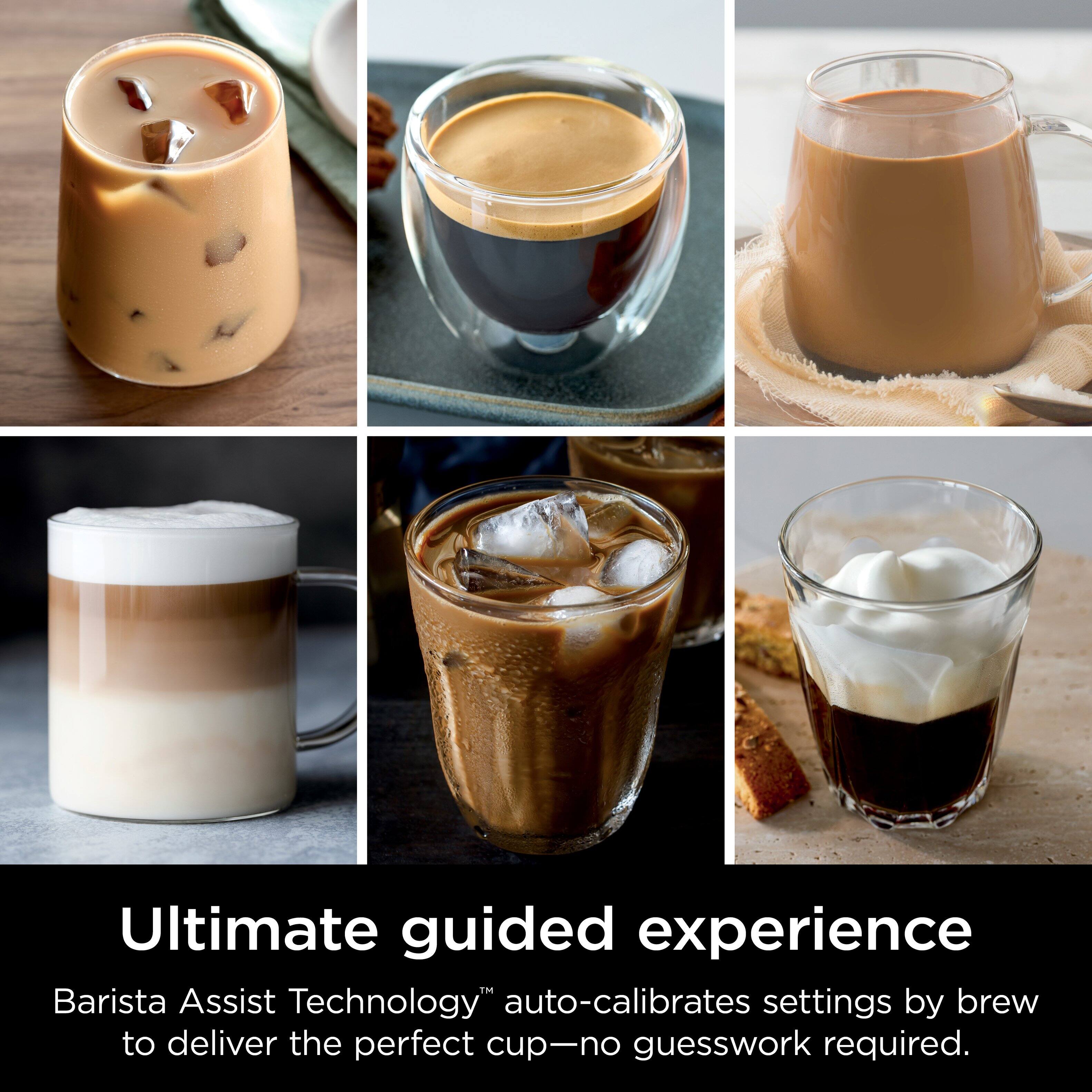 Ultimate guided experience

Barista Assist Technology™ auto-calibrates settings by brew to deliver the perfect cup—no guesswork required.