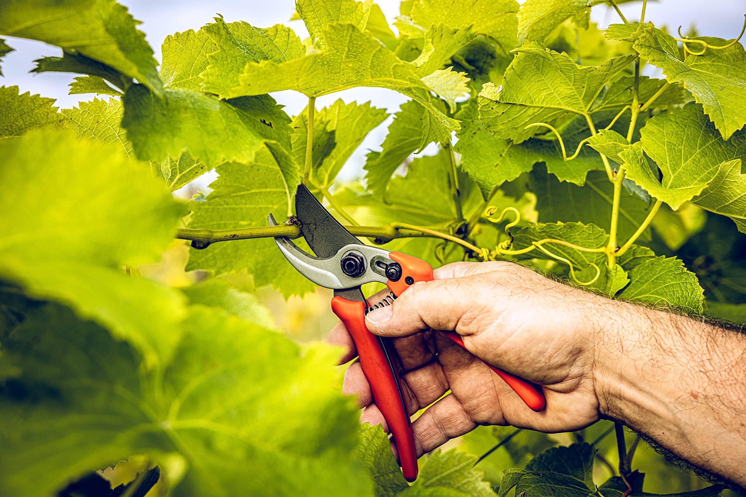 Alt View 1. JETRANSPORT - Bypass Pruner Garden Tools 14.104 | Use As Pruners  Hedge Trimmer Shears Pruning For Gardening Roses Twigs Bra - Default.