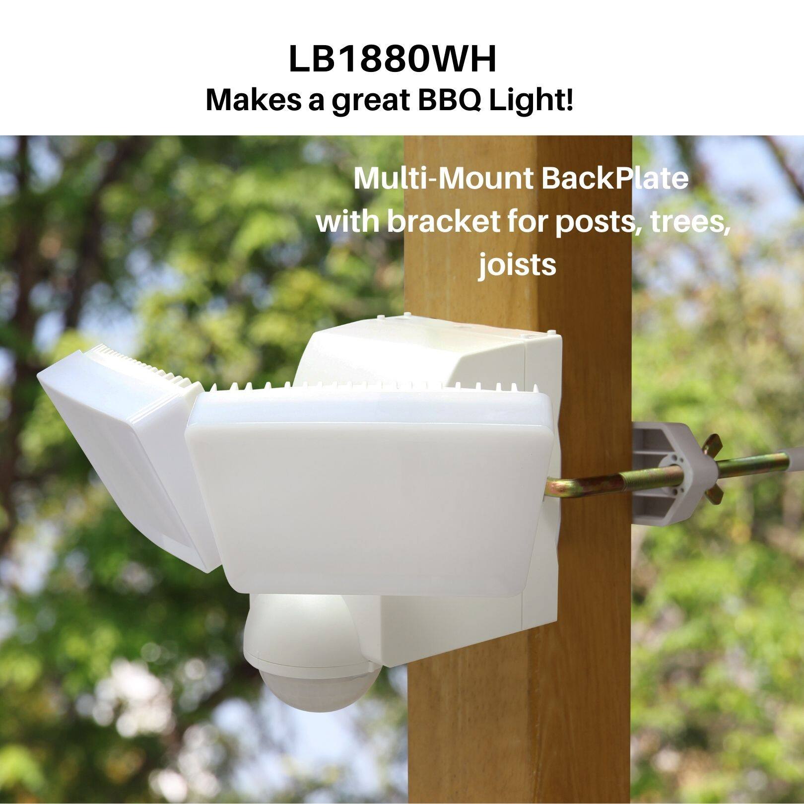 LB1880WH  
Makes a great BBQ Light!  

Multi-Mount BackPlate with bracket for posts, trees, joists