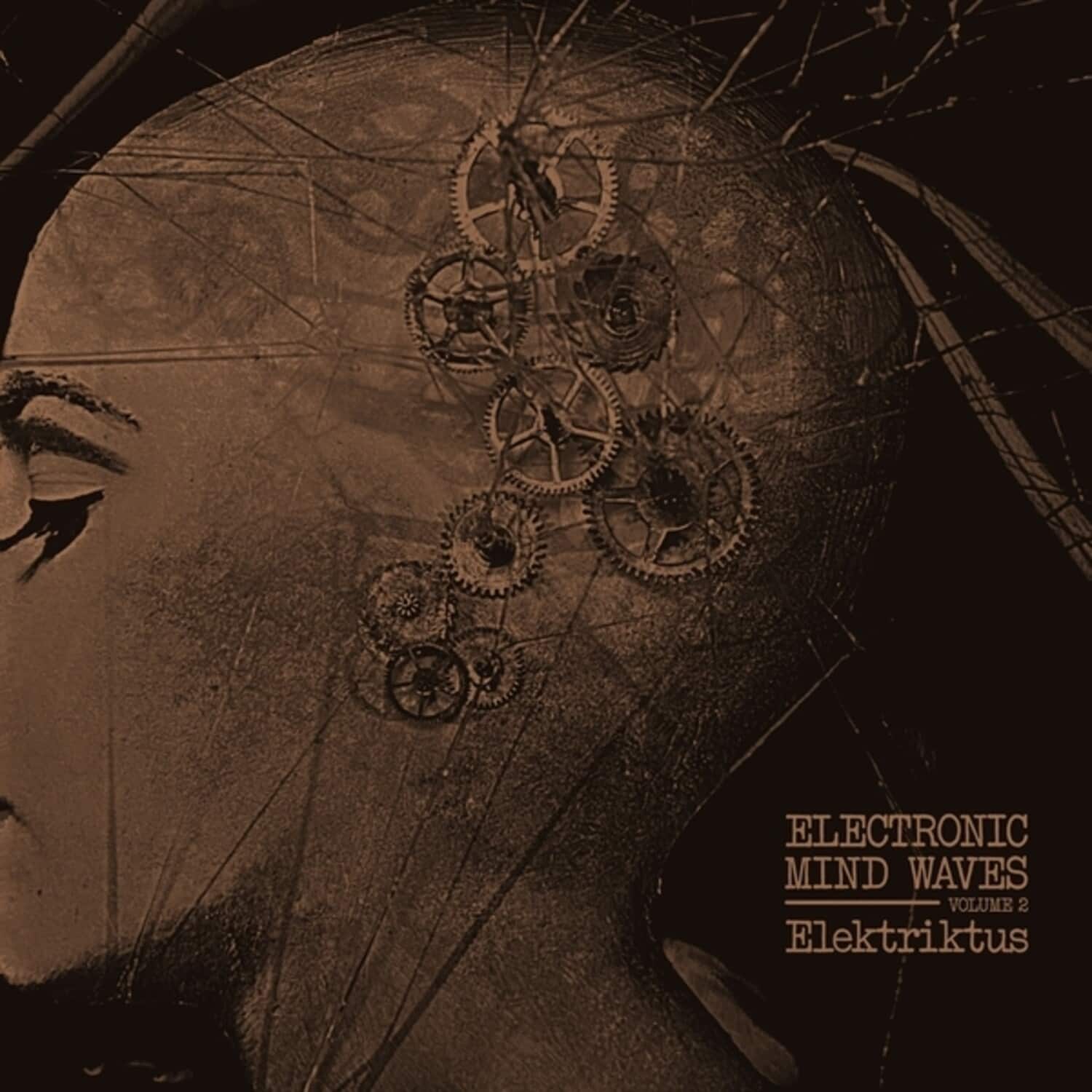 Elektriktus - Electronic Mind Waves, Vol. 2   - VINYL LP price history on PriceWatchPro