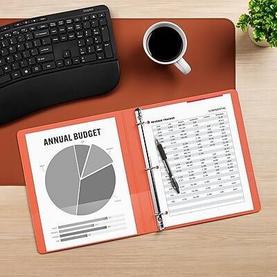 ANNUAL BUDGET

CONFERENCE
