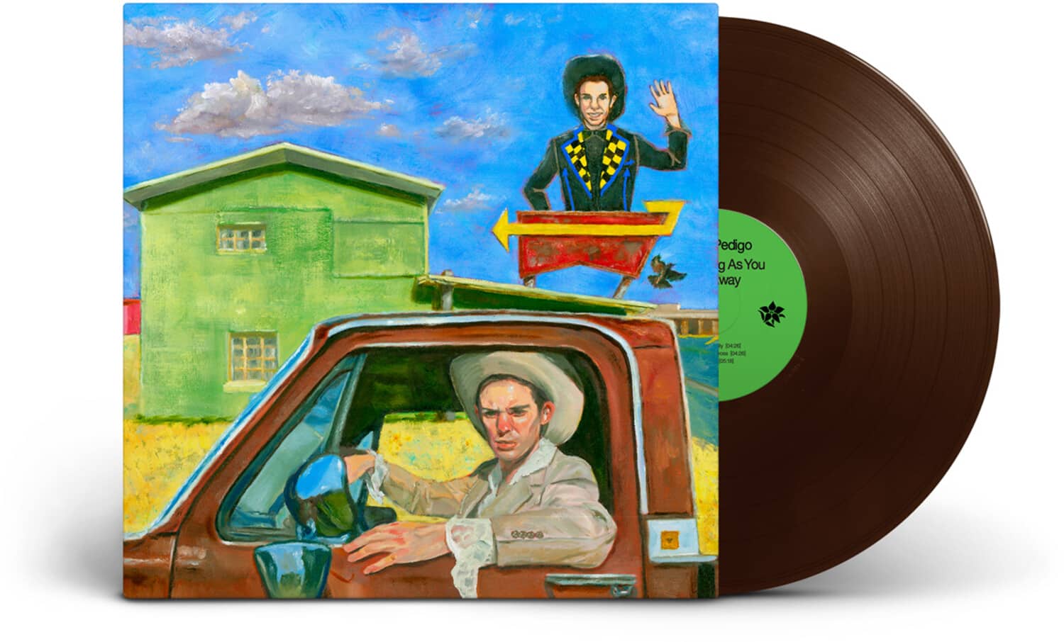 Hayden Pedigo - I'll Be Waving As You Drive Away  - VINYL LP