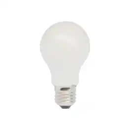 Elitco Lighting - 10W 3000K LED A19 Filament bulb with 1200 Lumens - Opal White