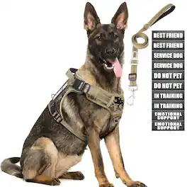Paradigms Interiors - Dog Harness And Leash Set For Dogs No Pull Service Vest 10 Patches With Seat Belt Reflective Pet Walking - Desert Camo-Medium