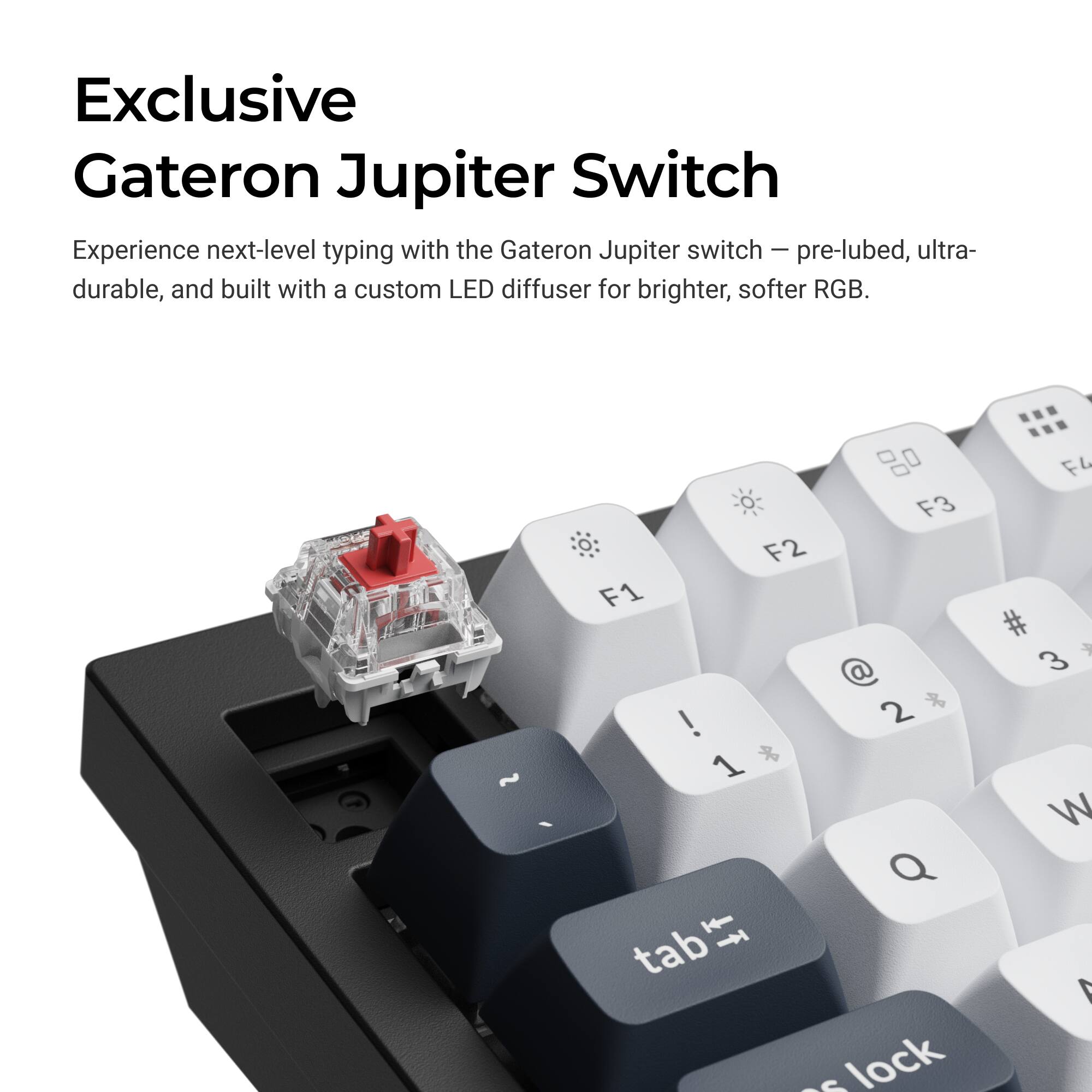 Exclusive Gateron Jupiter Switch

Experience next-level typing with the Gateron Jupiter switch - pre-lubed, ultra-durable, and built with a custom LED diffuser for brighter, softer RGB.

F3 F2 F1 @ 2 SA ! 1 & Q tab lock F4 # 3 W 4