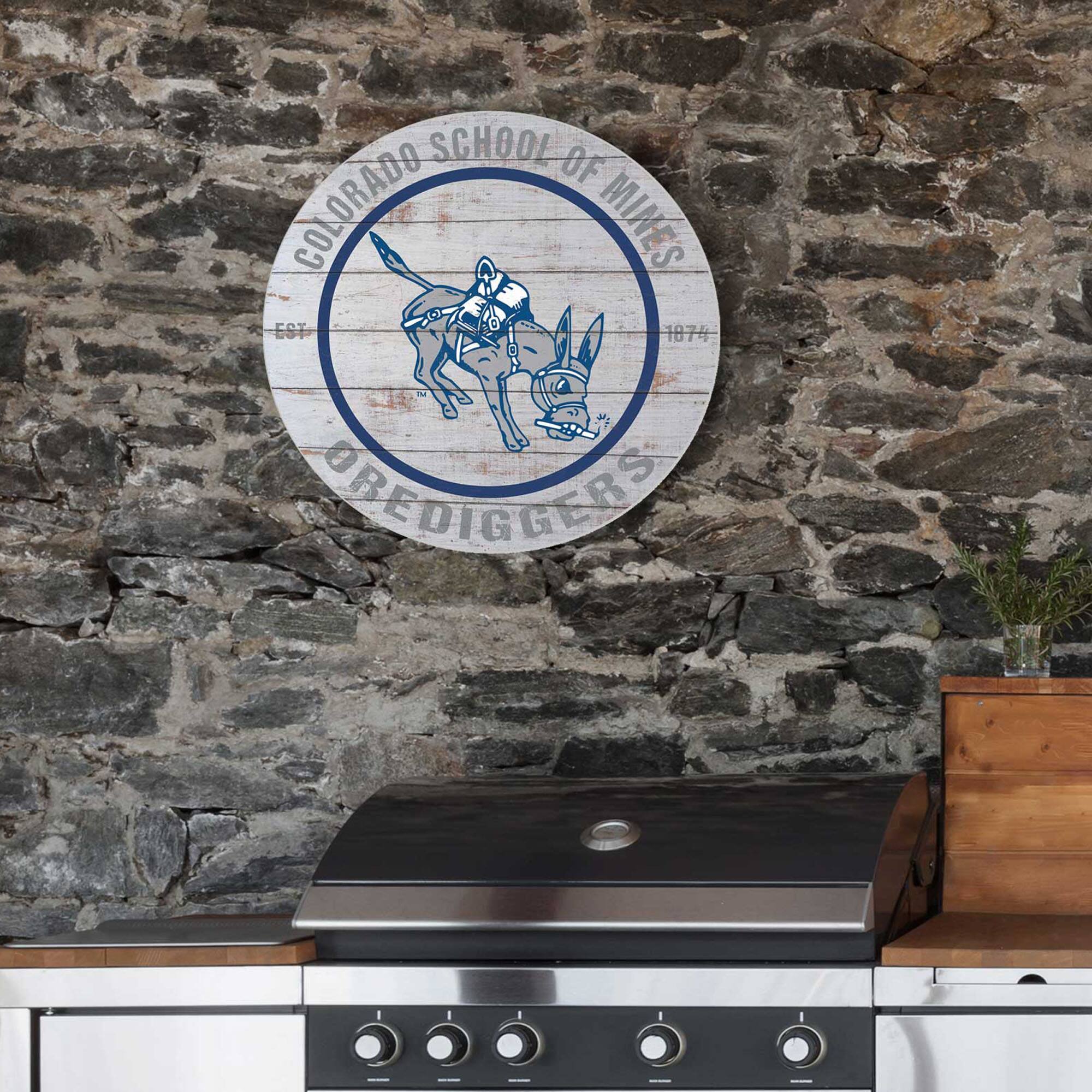 COLORADO SCHOOL OF MINES  
EST 1874  
OREDIGGERS