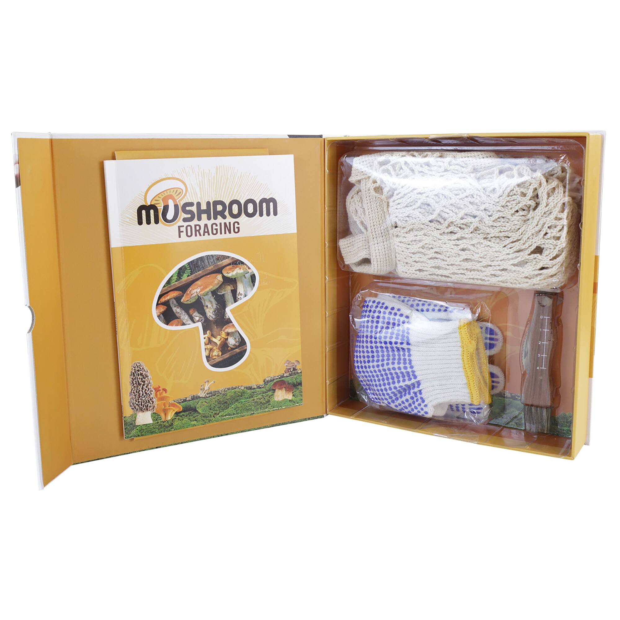 Mushroom Foraging