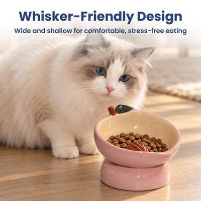 Whisker-Friendly Design  
Wide and shallow for comfortable, stress-free eating