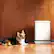 Alt View 9. Levoit - Vital Pet Pro 229 Sq. Ft Smart Air Purifier - White.