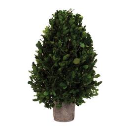 BreeBe - Natural Boxwood Foliage Topiary 15.5"H - Green, Brown