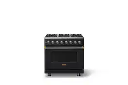 Viking - 36"W 5.6 Cu.Ft. Pro5S Freestanding Sealed 6 Burner Dual Fuel Convection LP Range - Onyx w. Brushed Brass Trim - Onyx