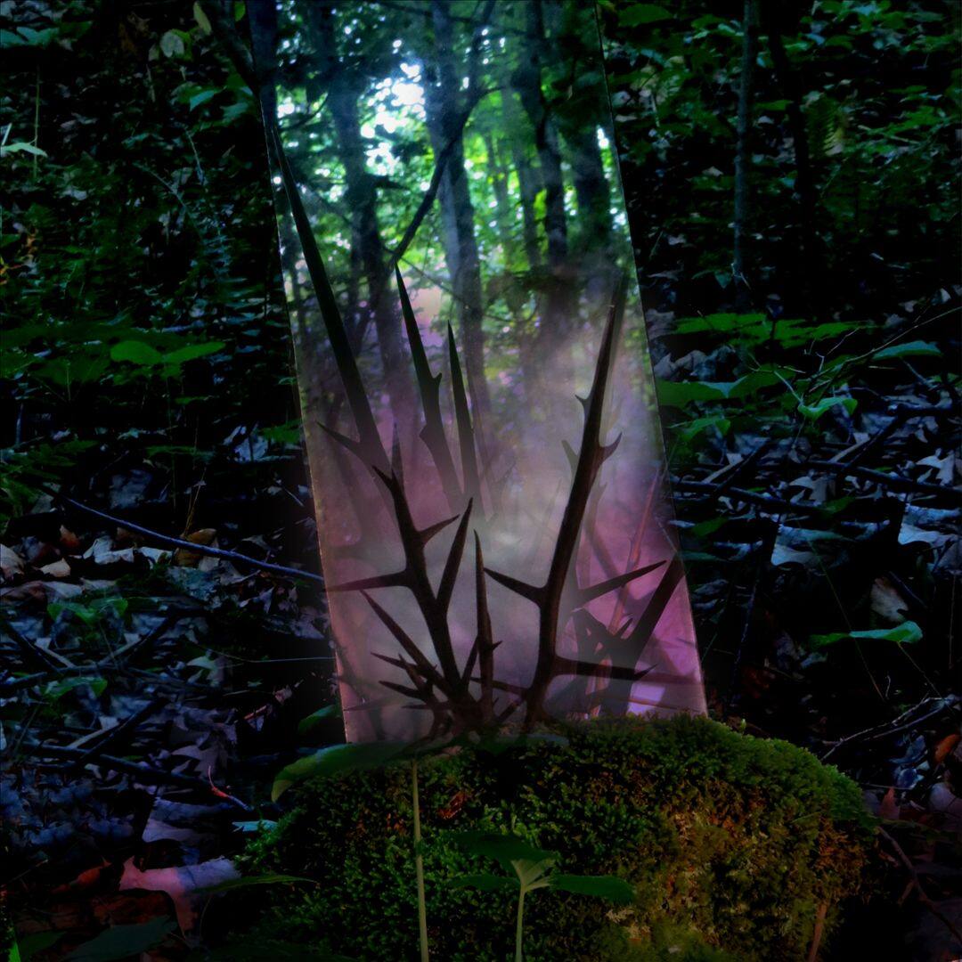 Front. Stealth of Days [LP].