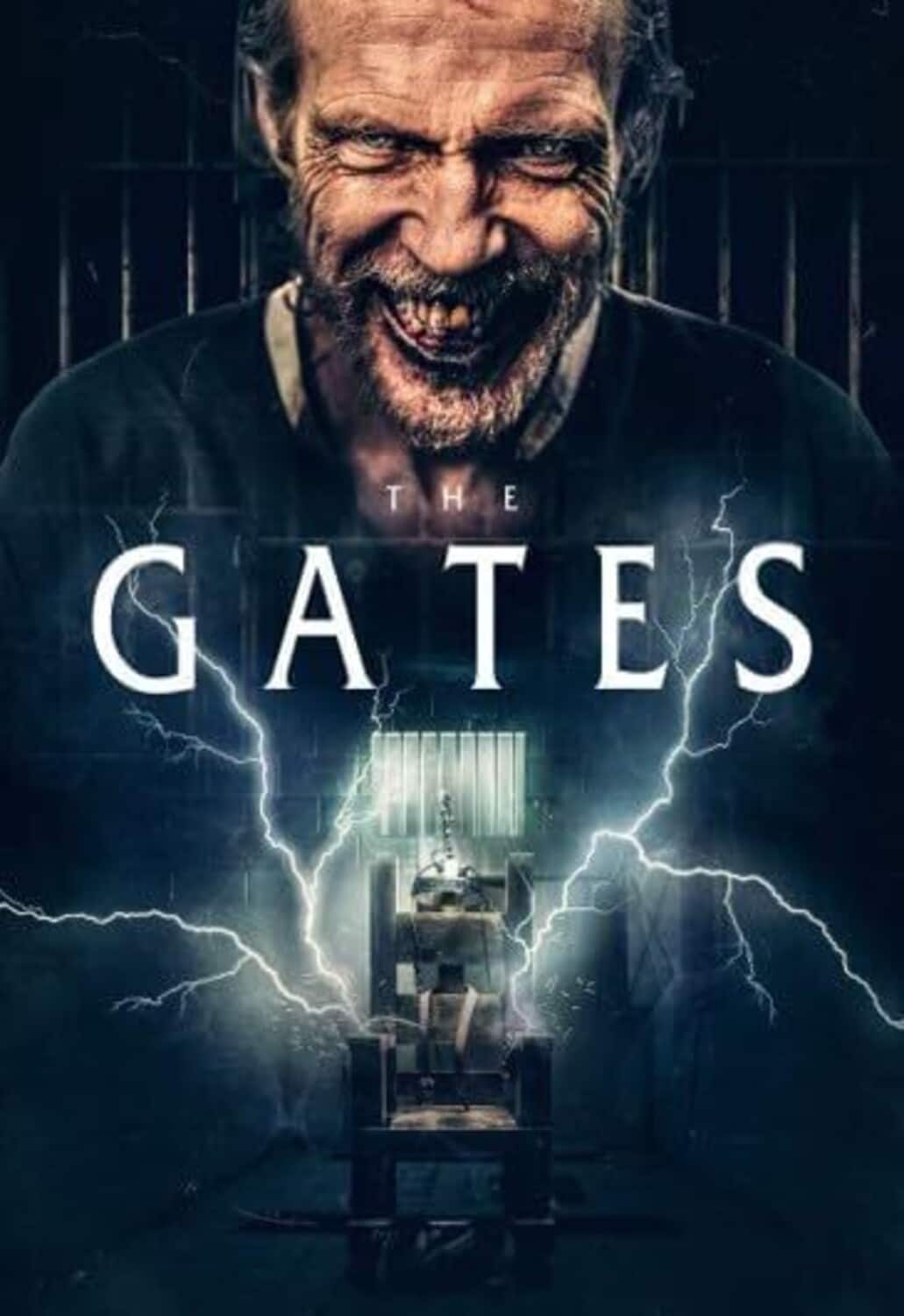 The Gates  - DVD