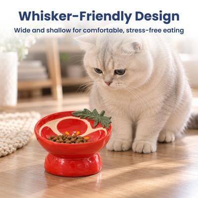 Whisker-Friendly Design  
Wide and shallow for comfortable, stress-free eating