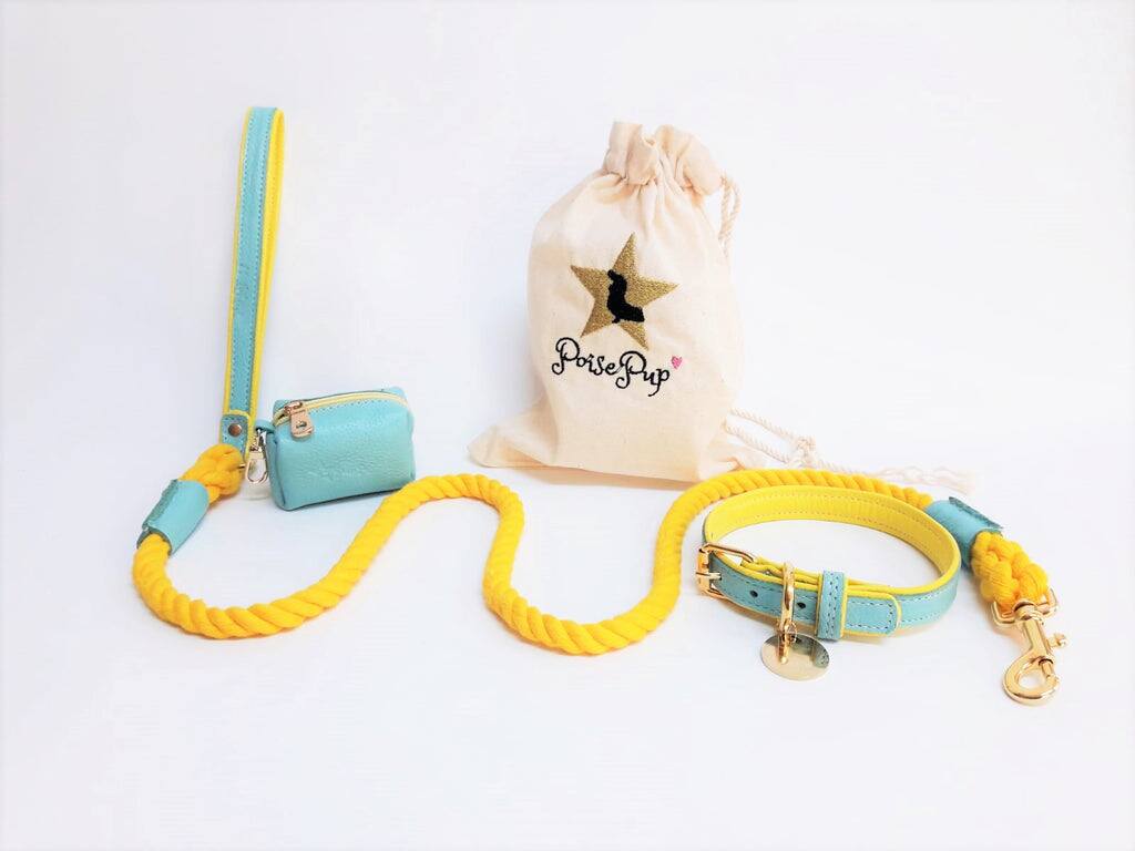 Left. PoisePup - Genuine Leather Dog Collar - Handmade, Adjustable & Soft - Teal | Yellow.
