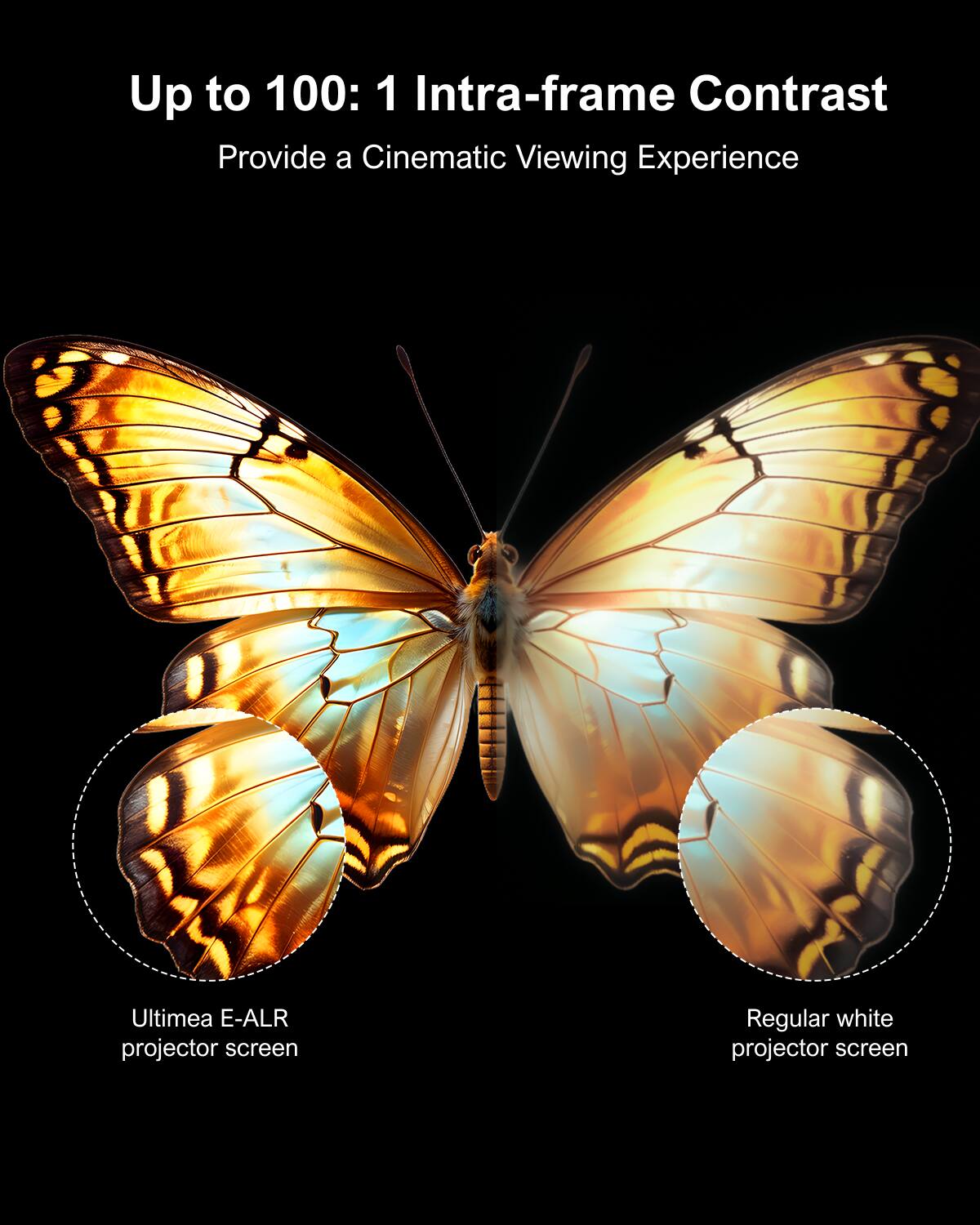 Up to 100: 1 Intra-frame Contrast
Provide a Cinematic Viewing Experience
Ultimea E-ALR projector screen
Regular white projector screen