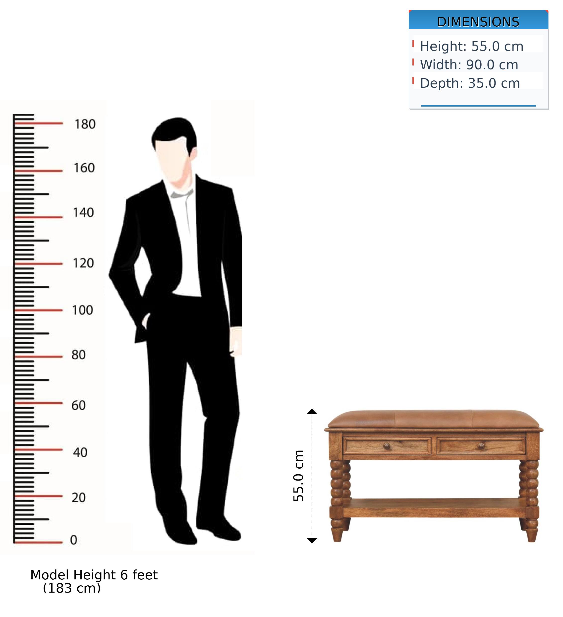 DIMENSIONS  
Height: 55.0 cm  
Width: 90.0 cm  
Depth: 35.0 cm  

Model Height: 6 feet (183 cm)
