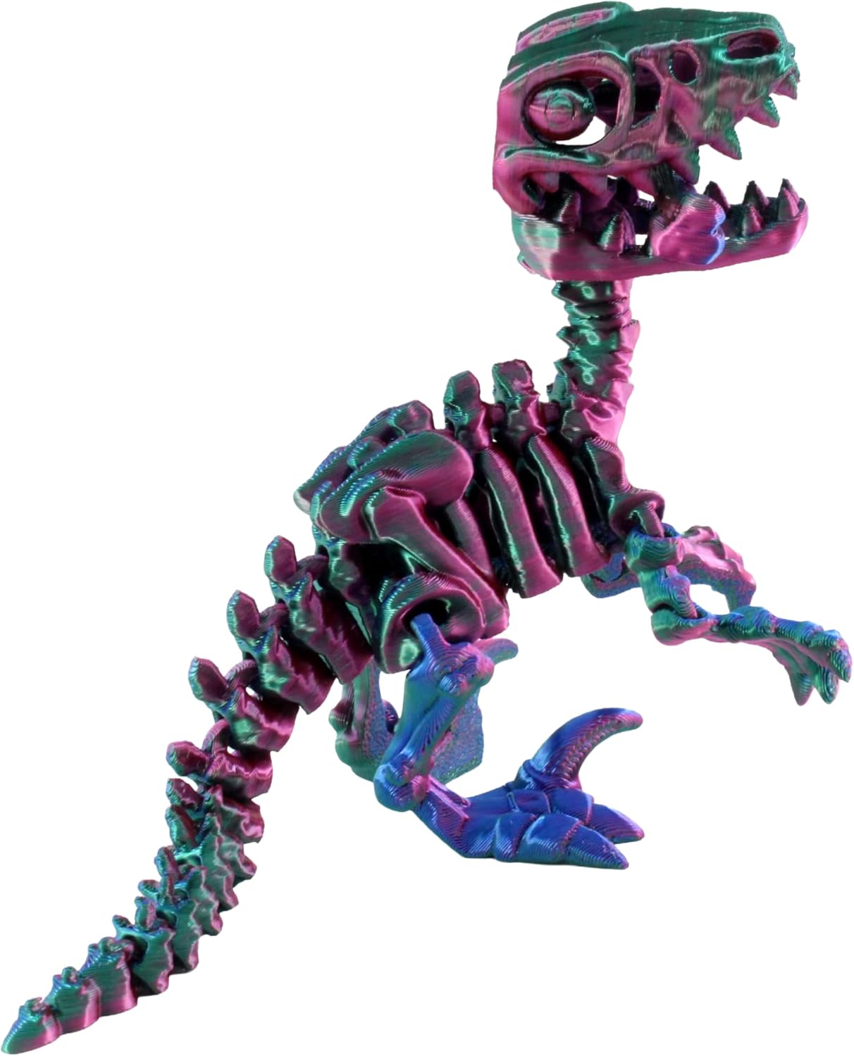 JuzToys 3D Printed Skeleton Velociraptor, Prehistoric Collectible ...