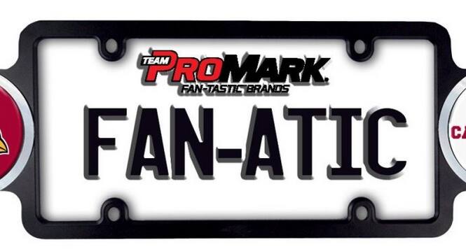 TEAM PRO MARK  
FAN-TASTIC BRANDS  

FAN-ATIC