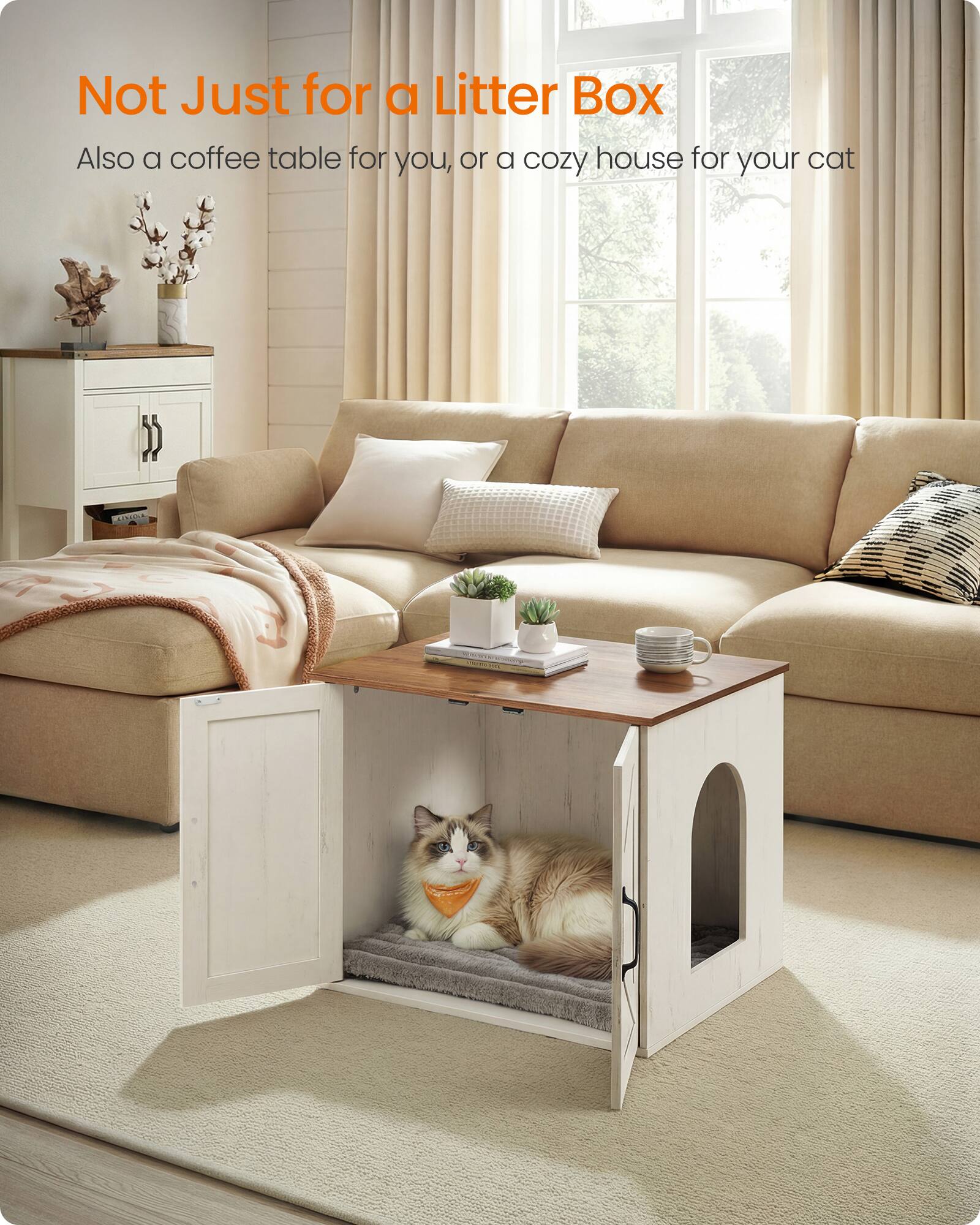 Not Just for a Litter Box  
Also a coffee table for you, or a cozy house for your cat