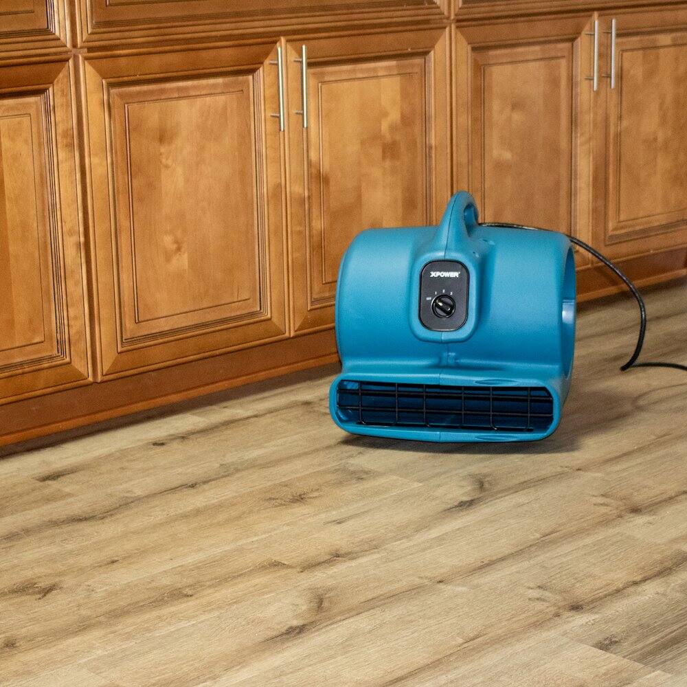 Alt View 5. XPOWER - 1/3 HP 2600 CFM 3 Speed, Carpet Dryer, Blower with Built-in GFCI Power Outlets - Blue.