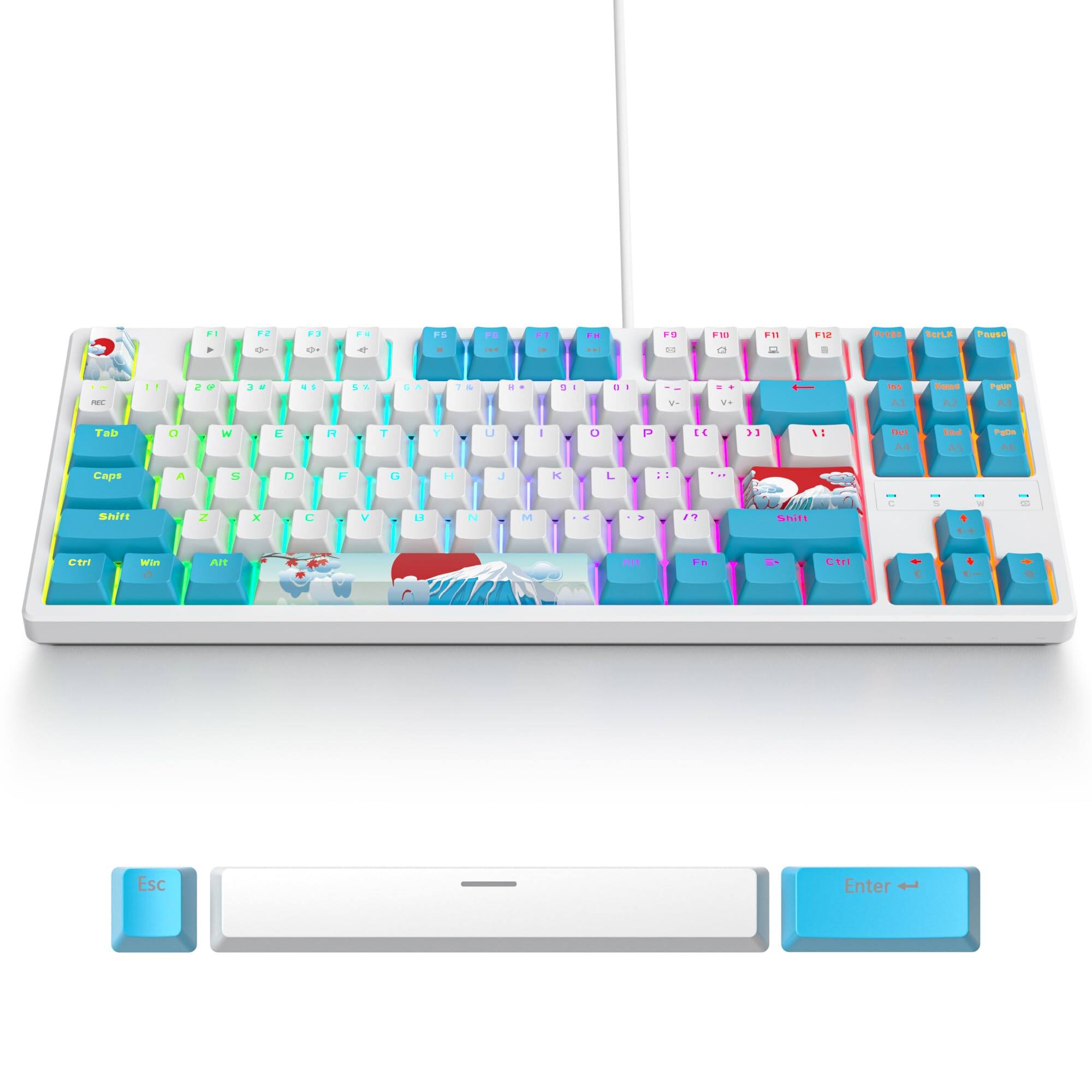 Sure, here is the corrected and grouped text from the image:

- Esc
- F1 F2 F3 F4 F5 F6 F7 F8 F9 F10 F11 F12
- 1 2 3 4 5 6 7 8 9 0 - = Backspace
- Tab Q W E R T Y U I O P [ ] \
- Caps A S D F G H J K L ; ' Enter
- Shift Z X C V B N M , . / Shift
- Ctrl Win Alt Spacebar Alt
- Ctrl Win Alt
- Print Screen Scroll Lock Pause
- Insert Home Page Up Delete End Page Down
- Num Lock / * - + Enter
- 7 8 9 + 4 5 6 - 1 2 3 0 . Num Lock
- Enter
- Fn