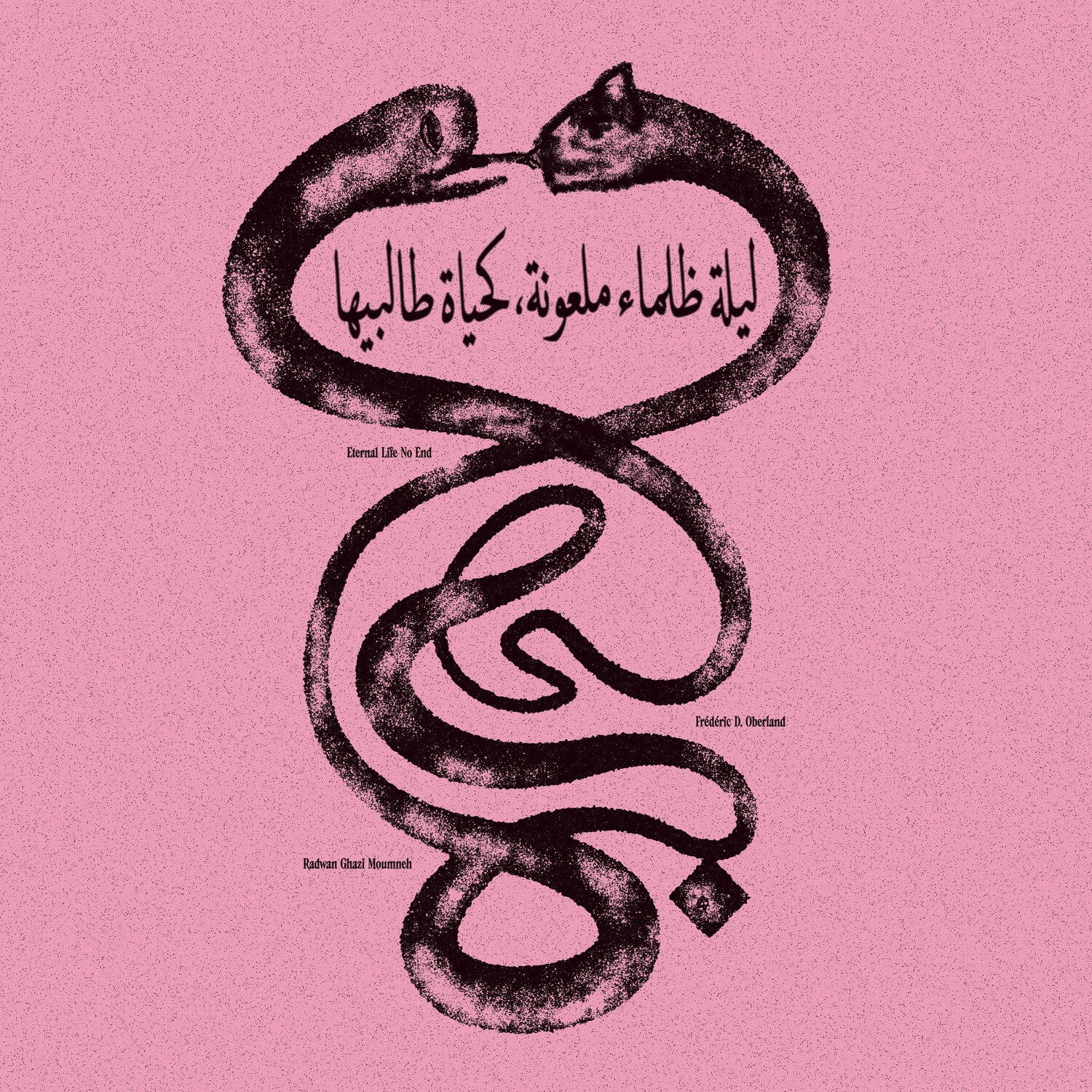 Radwan Ghazi Moumneh - Eternal Life No End   - COMPACT DISCS [CD] price history on PriceWatchPro