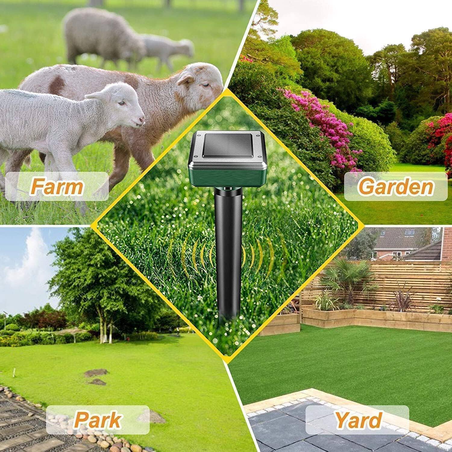 Farm  
Garden  
Park  
Yard