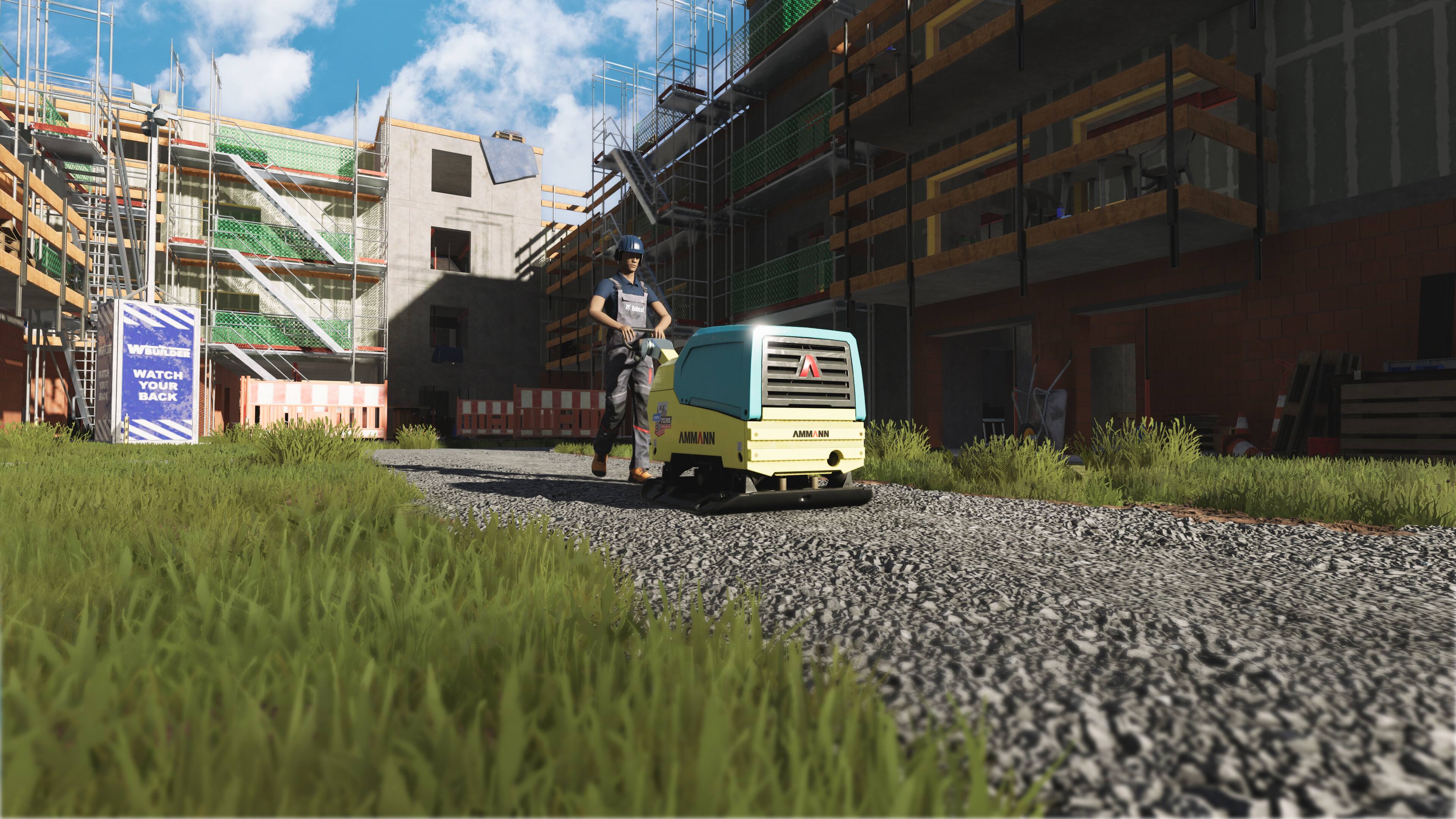 BUIDOR SOR WATCH YOUR BACK - : AMMANN AMMANN NN