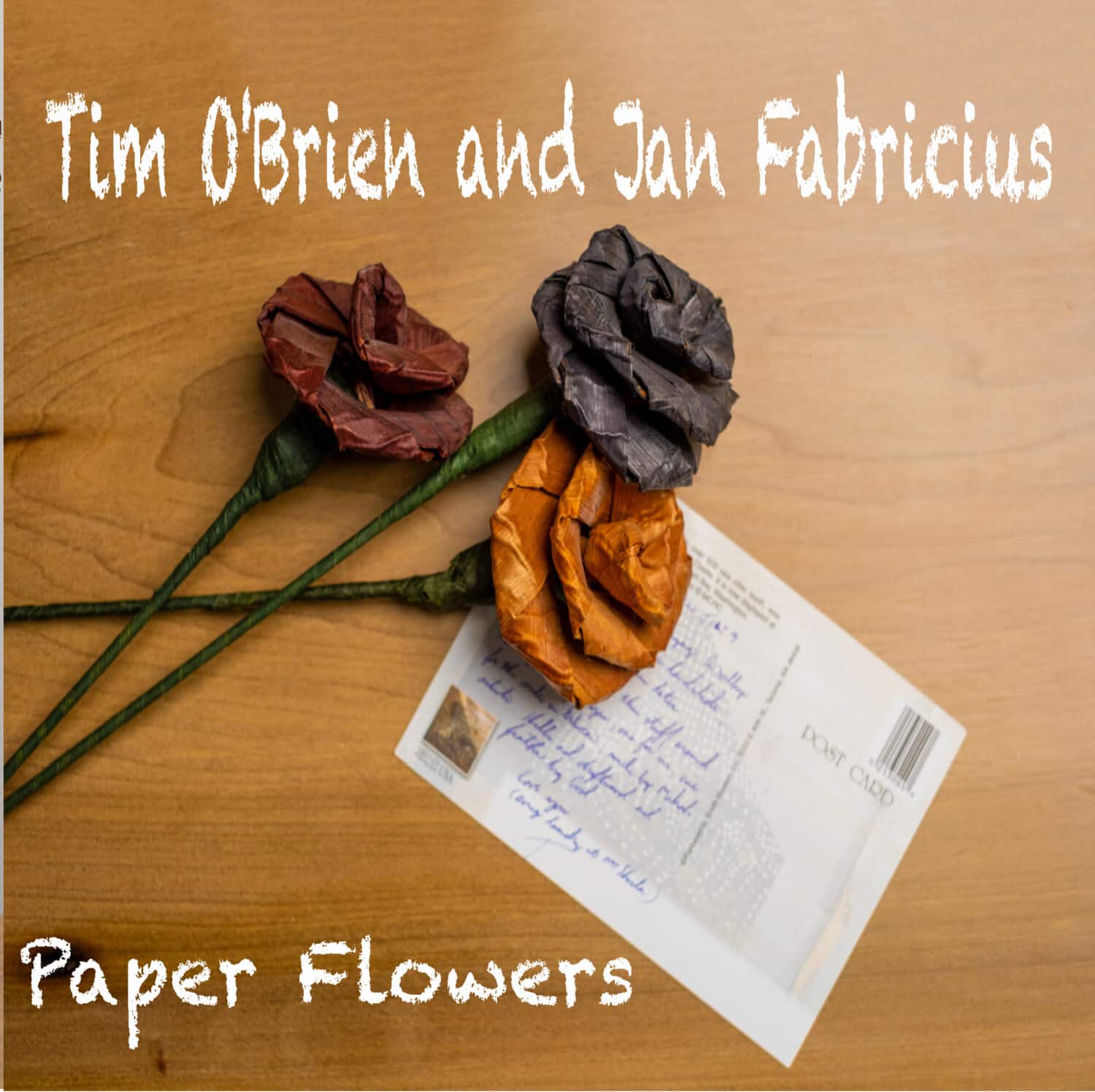 Tim O'Brien - Paper Flower   - COMPACT DISCS [CD] price history on PriceWatchPro