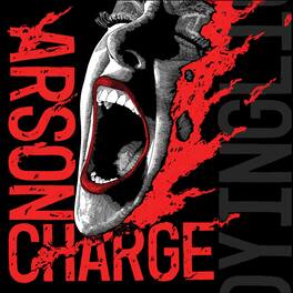 Arson Charge - A Dying Light - VINYL LP